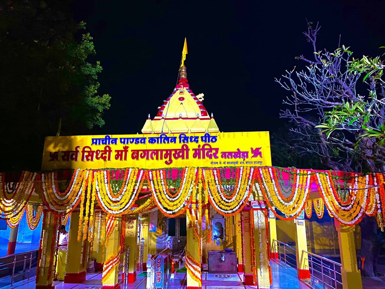 Bagalamukhi Karyasiddhi Puja
