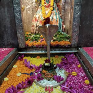 panchamrit snan