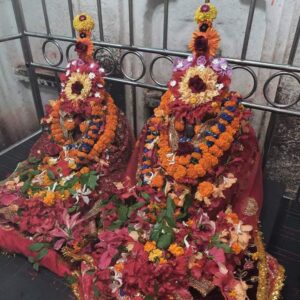 Shodashopchar and Devi Hom