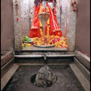 Rudrabhishek (individual family)