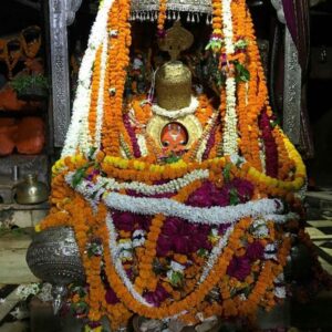Shri Sankatmochan Hom